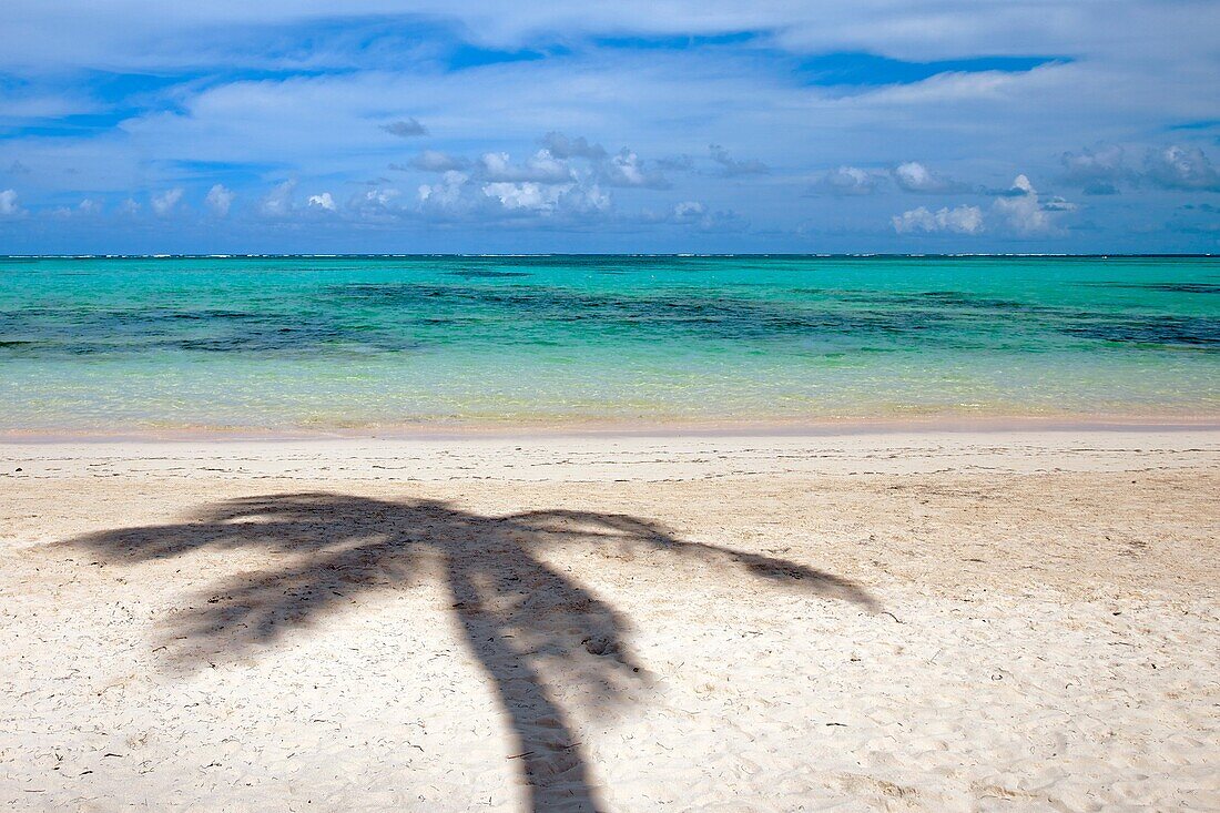 Bavaro beach, Punta Cana, Dominican Republic, West Indies, Caribbean