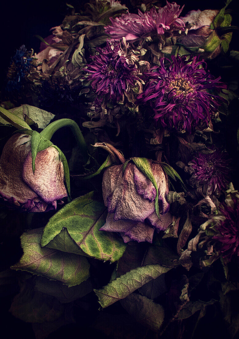 Close up of decaying flowers