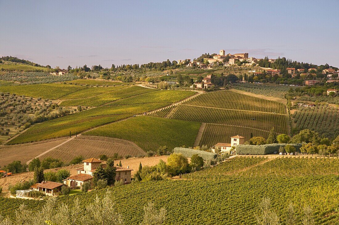 Italy, Tuscany, Panzano  Hill town in the heart of Chianti wine country