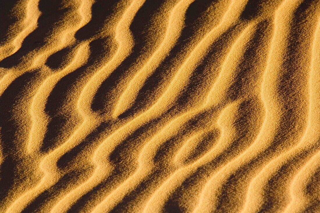 Wind patterns in sand at sunset, Coral Pink Sand Dunes State Park, near Kanab, Kane County, Southern Utah