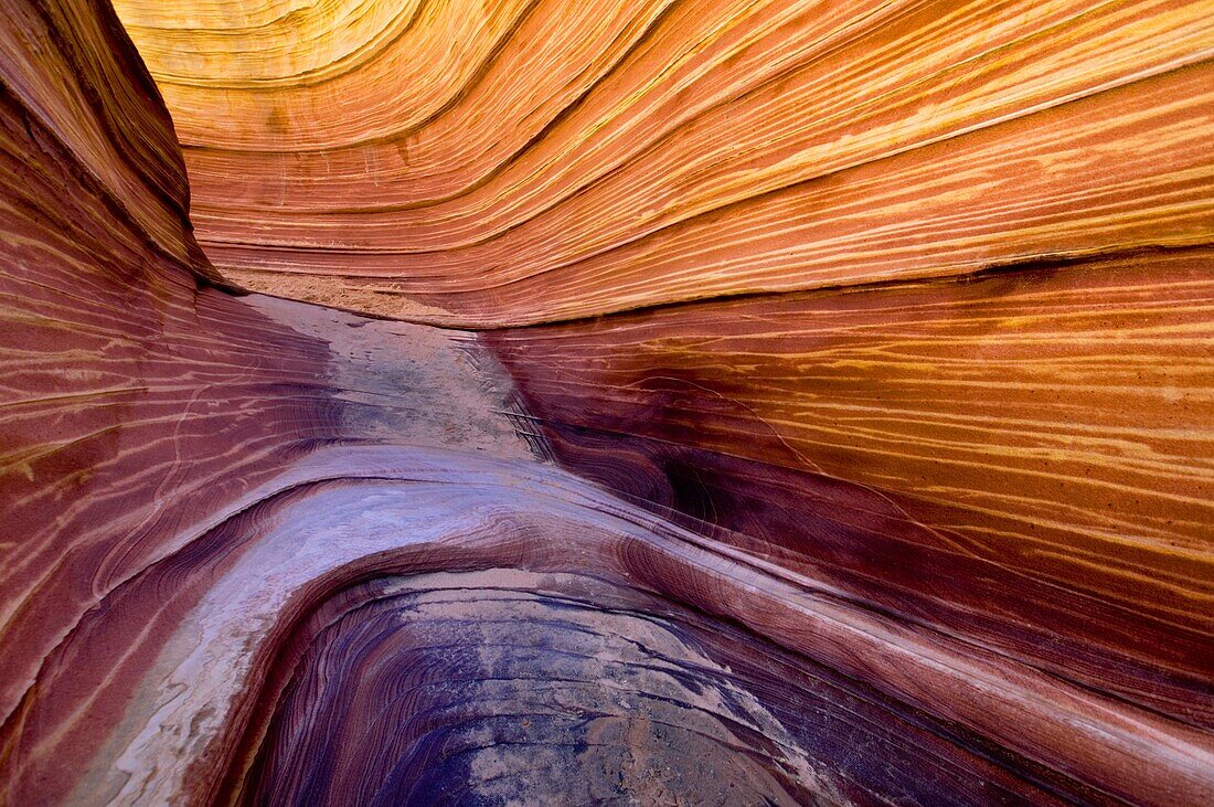 Striated sandstone formations at The Wave, Coyote Buttes, Paria Canyon Vermilion Cliffs Wilderness, Arizona