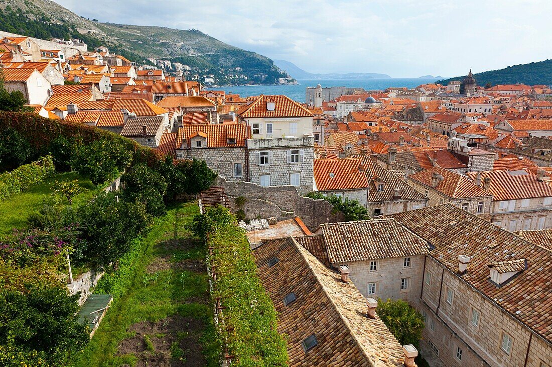 Franciscan Monastery, Old Town of Dubrovnik, Dubrovnik City, Croatia, Adriatic Sea, Mediterranean Sea.