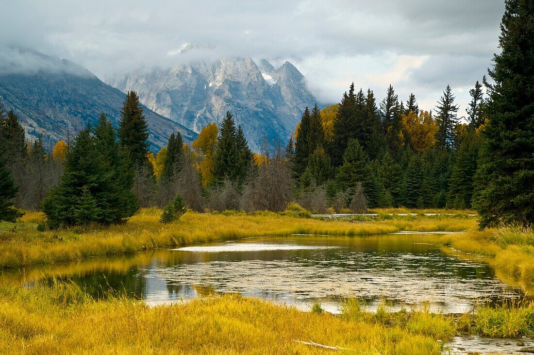 Pond and stream in meadow at Grand Teton National Park, Wyoming