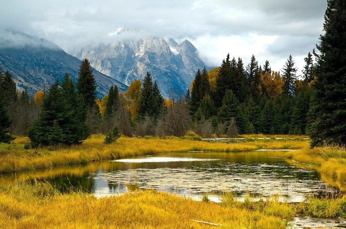 Pond and stream in meadow at Grand Teton National Park, Wyoming