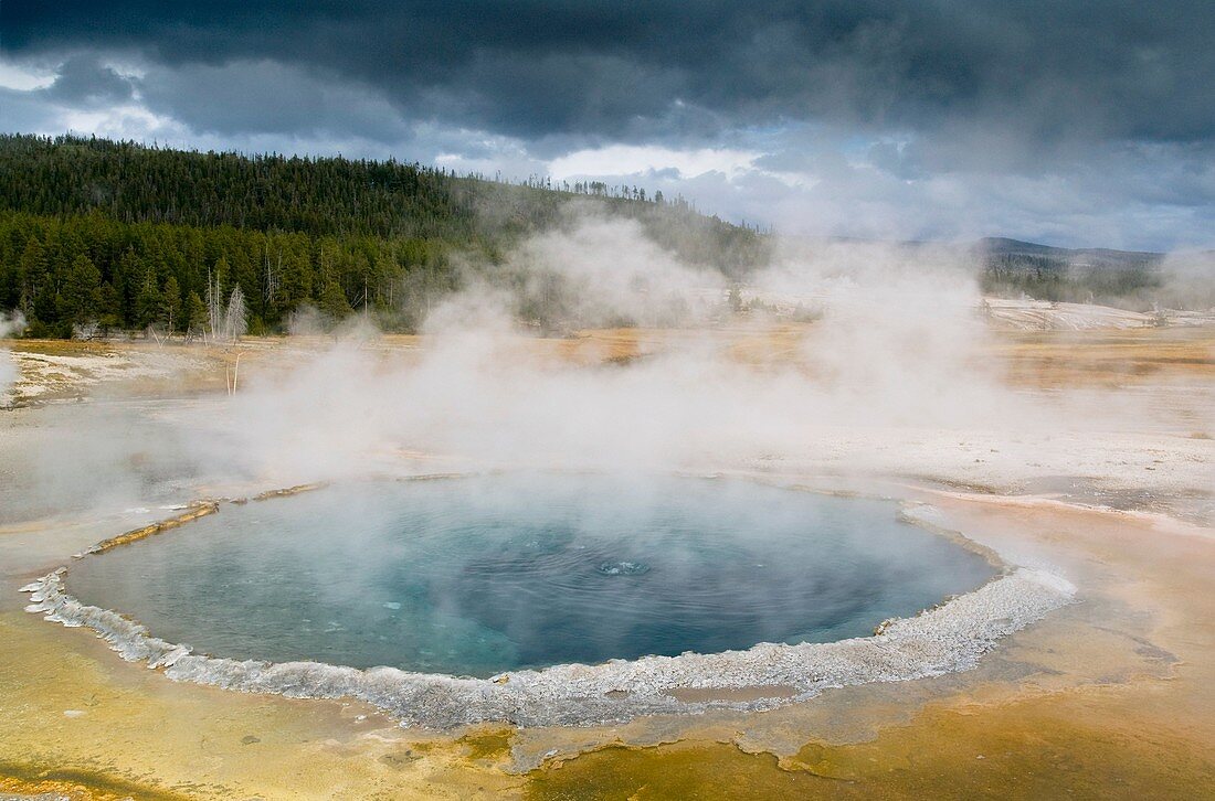 Geothermal steam and water venting out of Crested Pool, Upper Geyser Basin, Yellowstone National Park, Wyoming