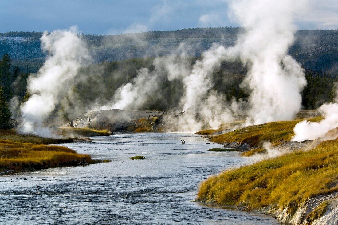 Geothermal vents and steam along the Firehole River, Upper Geyser Basin, Yellowstone National Park, Wyoming