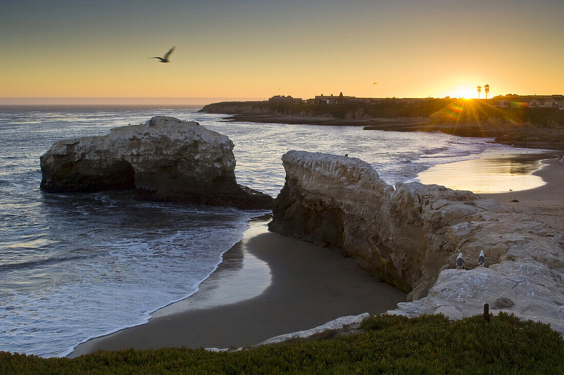 Sunset at Natural Bridges State Beach, Santa Cruz, California.