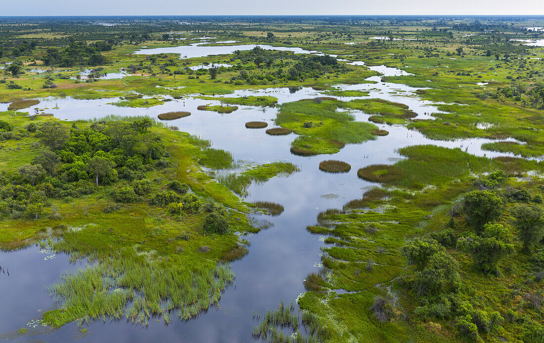 Okavango Delta, Botswana, Africa.