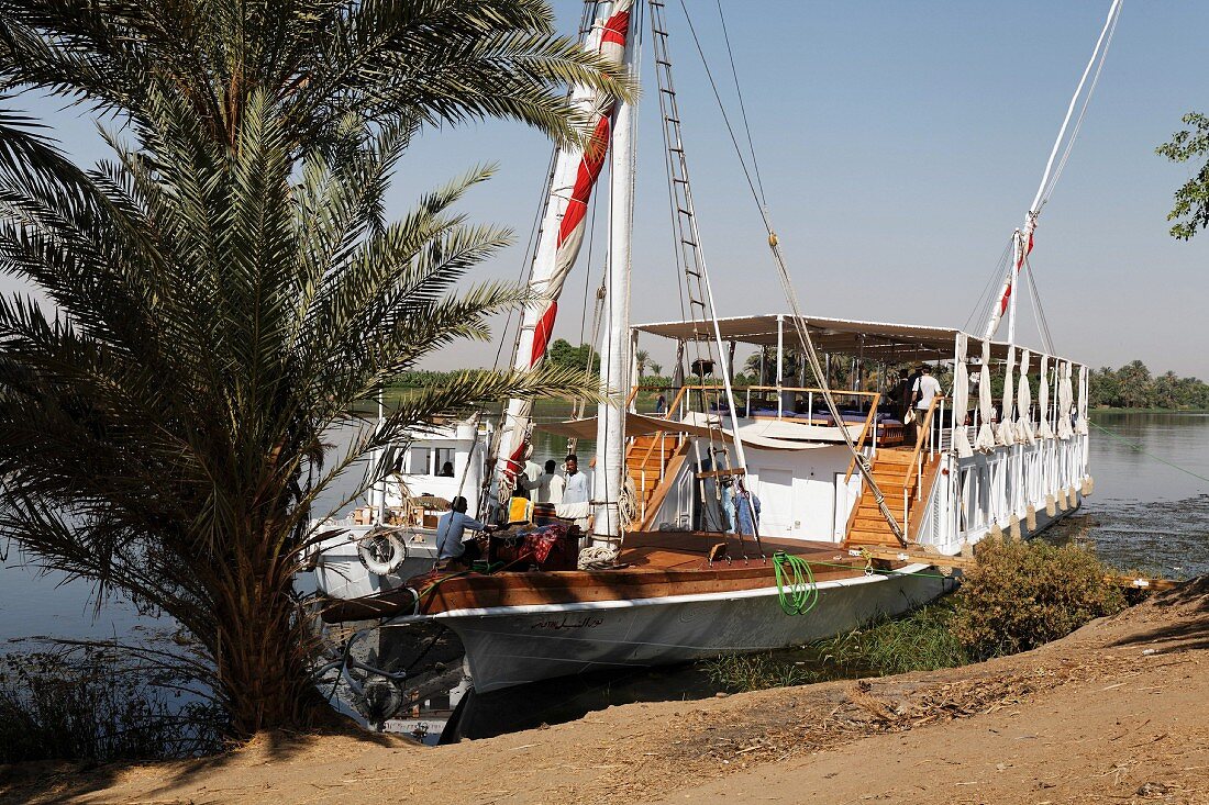 Fähre mit Passagieren auf Sonnendeck am Flussufer vor einer Palme, Nil, Ägypten