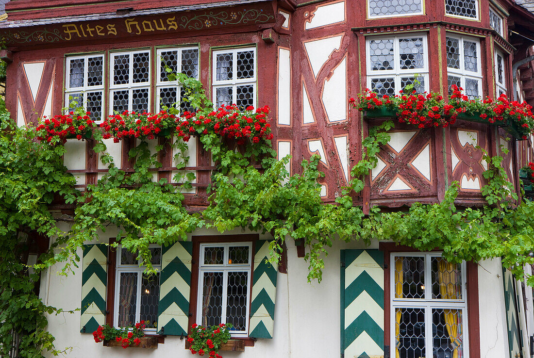 Bacharach, Germany, Rhineland_Palatinate, house, home, half_timbered house, window, shoots, flowers, geraniums, restaurant