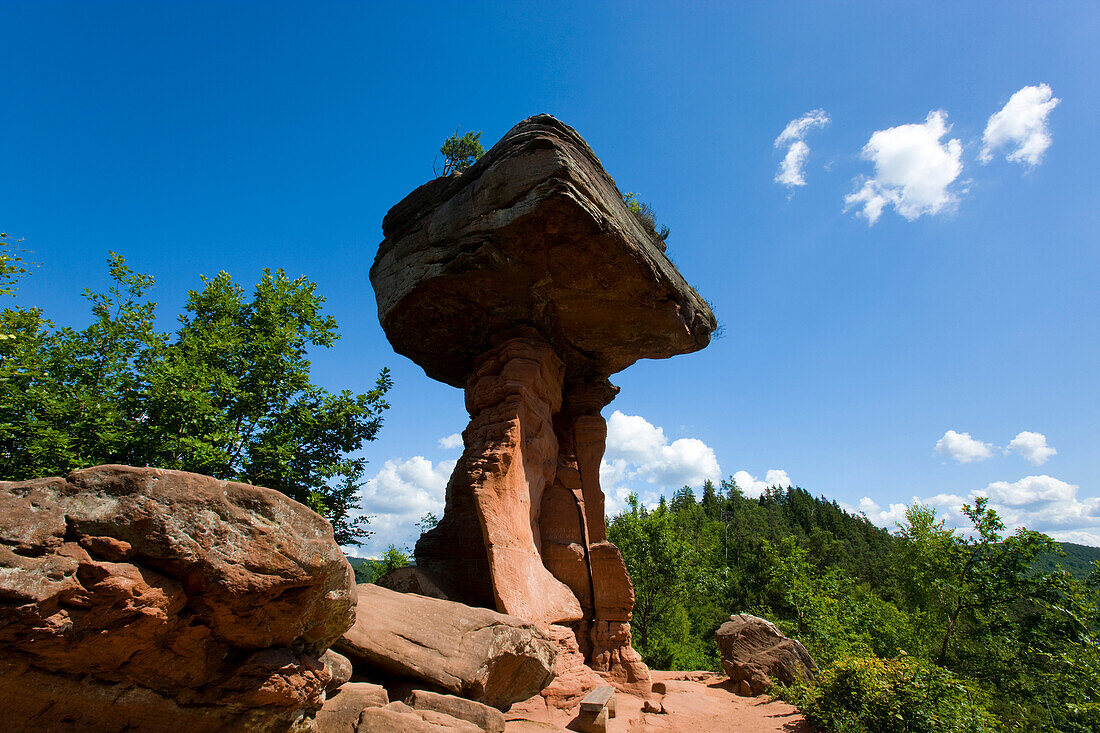 Devils table, Germany, Rhineland_Palatinate, nature reserve person from, Rhineland wood, forest, rock, cliff, cliff sculpture, erosion, sandstone, wood, forest,