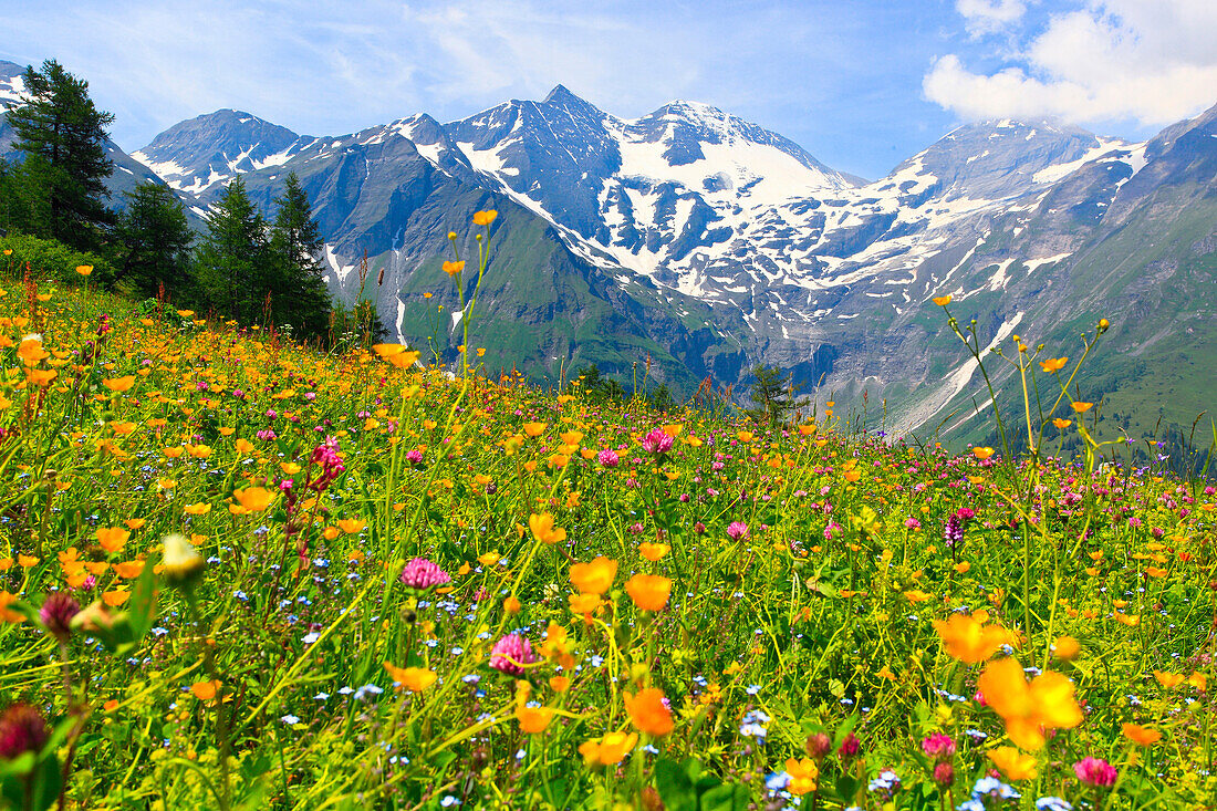 Sonnenwelleck _ 3261 m, Fuscherkarkopf _ 3154 m, Hohe Tauern, Österreich, Oesterreich,