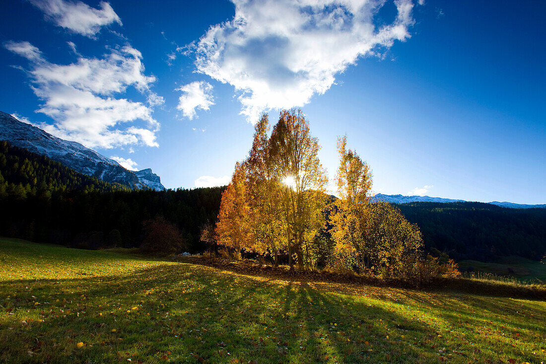 Valchava, Switzerland, canton Graubünden, Grisons, , Münster valley, trees, poplars, wood, forest, , mountain, clouds, autumn