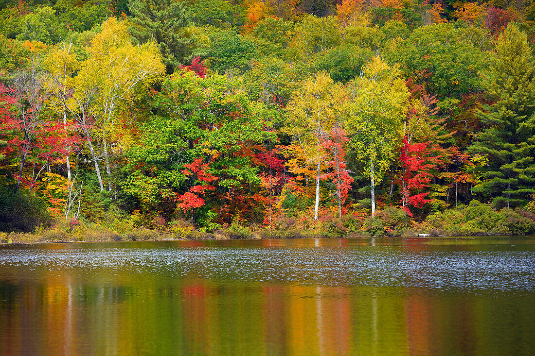 Lake Madrid, USA, Amerika, Vereinigte Staaten, Maine, See, Bäume, Wald, Verfärbung, Indian Summer, Herbst