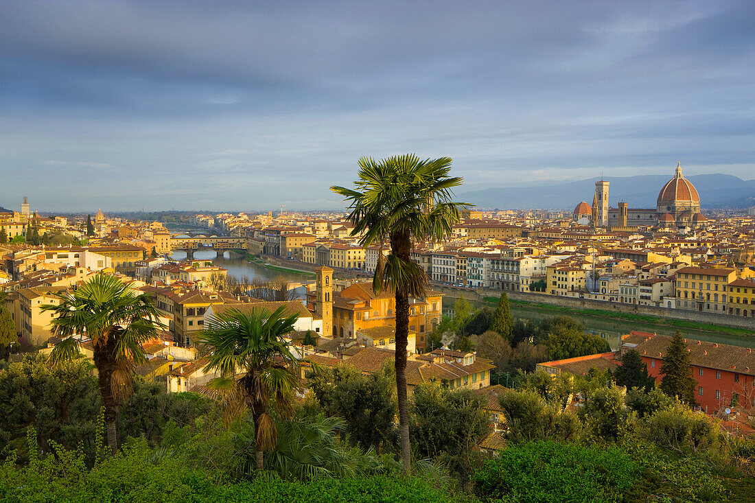 Florence, Italy, Europe, Tuscany, town, city, houses, homes, churches, cathedral, dome, morning light, river, flow, Arno, palms
