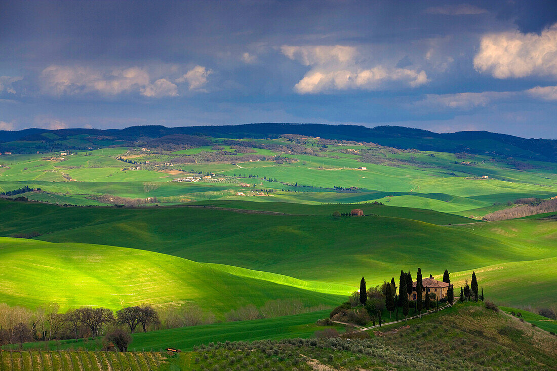 San Quirico dOrcia, Italy, Europe, Tuscany, Crete, hill, fields, houses, homes, farm, clouds, light mood, shade, cypresses