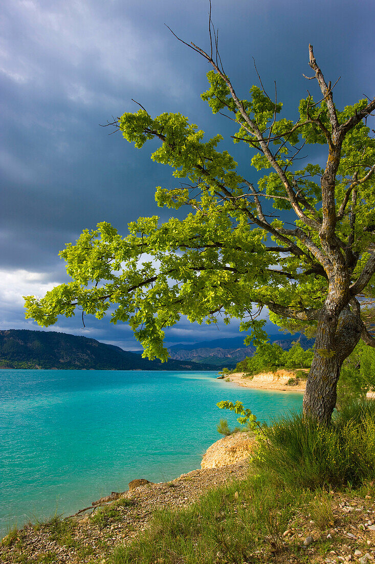 Lac de Sainte Croix, France, Europe, Provence, Alpes_de_Haute_Provence, lake, sea, reservoir, shore, trees, oak, clouds, thunderstorm mood