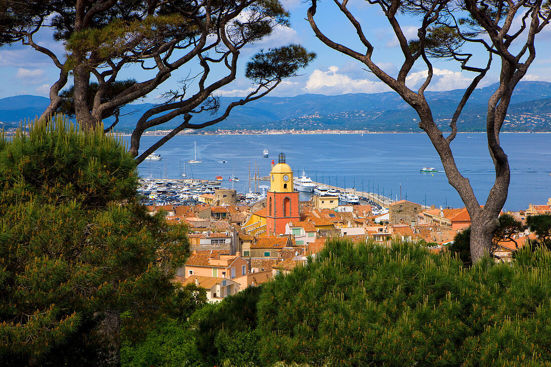 Saint_Tropez, France, Europe, Provence, Côte dAzur, Var, town, city, houses, homes, church, sea, Mediterranean Sea, trees, pines
