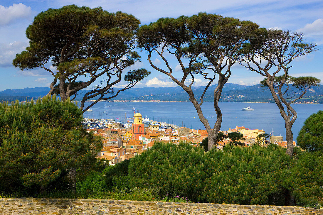 Saint_Tropez, France, Europe, Provence, Côte dAzur, Var, town, city, houses, homes, church, sea, Mediterranean Sea, trees, pines