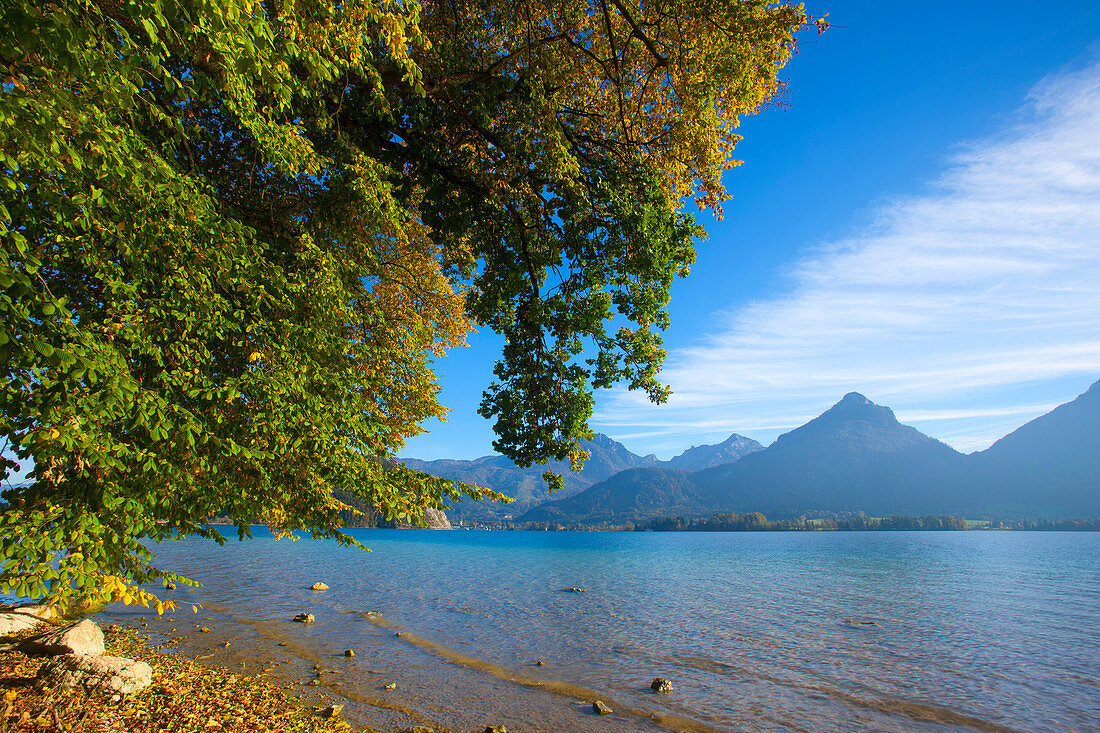 Wolfgang lake, Austria, Europe, Salzburg, lake, lake shore, tree, autumn, mountains