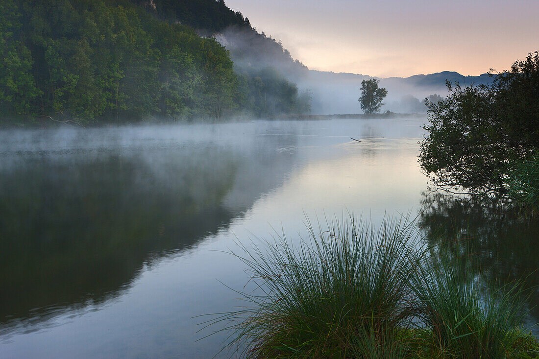 Oberriet, lake, Wichensteiner Seeli, Switzerland, Europe, canton St. Gallen, Rhine Valley, nature reserve, morning fog, reflection