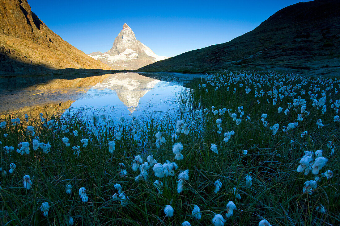 Lake Riffel, Switzerland, Europe, canton Valais, Mattertal, lake, sea, lake shore, grass, cotton grasses, mountain, Matterhorn, reflection, morning mood