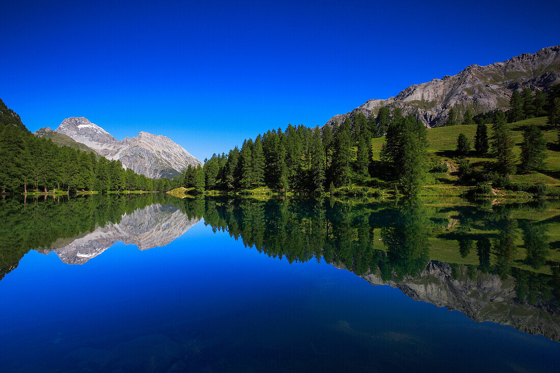 Albula, Albula Pass, Albulapass, Alps, mountain, mountains, mountain lake, Bergün, Graubünden, Grisons, sky, larches, Palpuogna, Palpuognasee, Piz Ela, reflection, Swiss Alps, Swiss mountains, lake, summer, reflection, wood, forest, water, alpine, blue sk