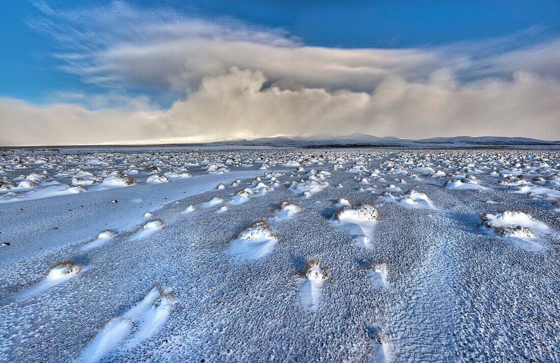 Rangipo desert dawn panorama after snow storm, cloud-covered Mt Ruapehu beyond, Tongariro National Park, New Zealaand.