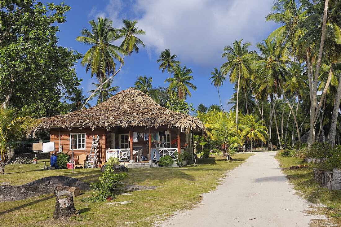 Typical house between palm trees, La Digue Island, Seychelles, Indian Ocean.