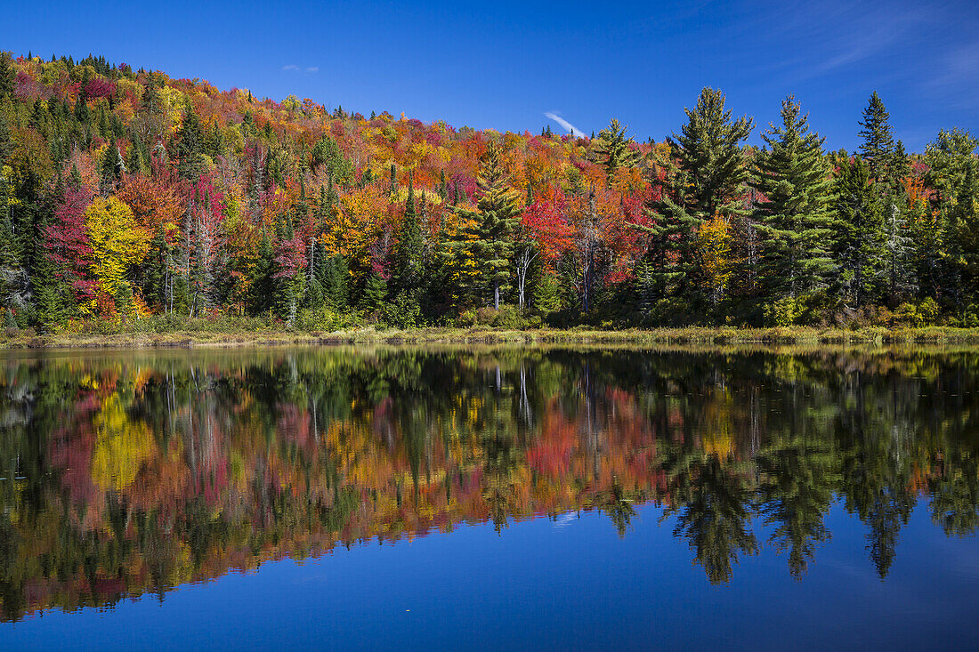 Brilliant fall foliage reflections in La Maurice National Park, Quebec, Canada.
