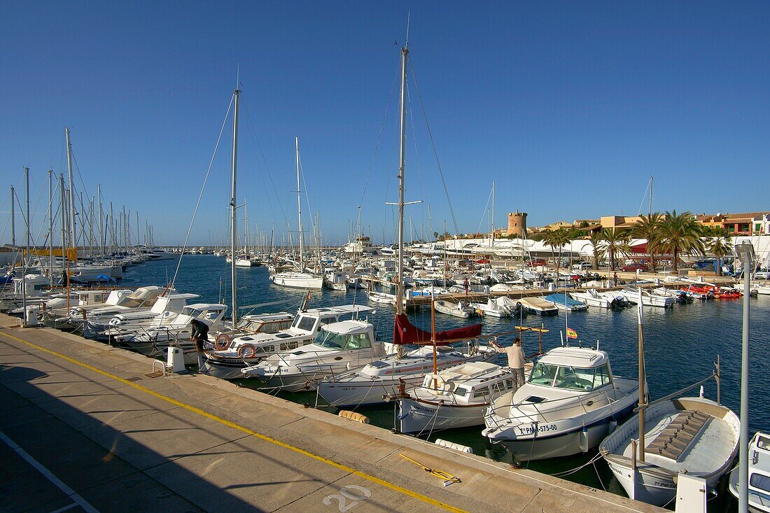 Puerto de Sa Rapita Torre de Sa Rapita s XVI Migjorn Campos Mallorca Balearen Spanien