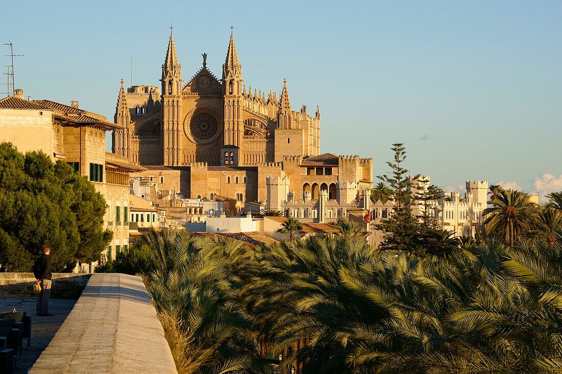 Catedral de Mallorca von der Terrasse des Baluard Museums, museu dArt Modern i Contemporani de Palma Palma Mallorca Balearen Spanien