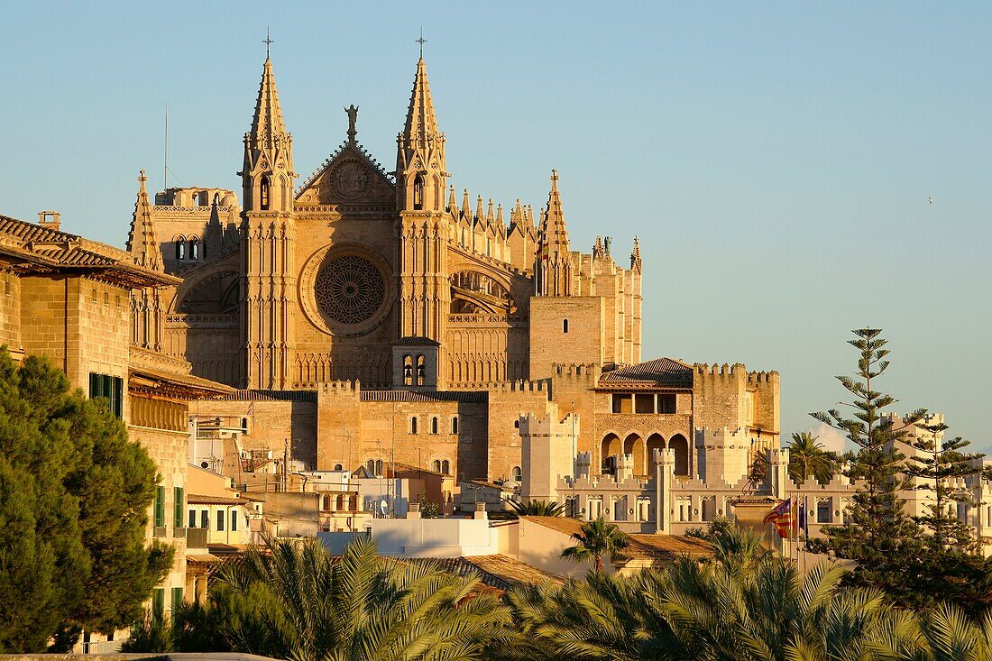 Catedral de Mallorca von der Terrasse des Museums Baluard, museu dArt Modern i Contemporani de Palma Mallorca Balearen Spanien