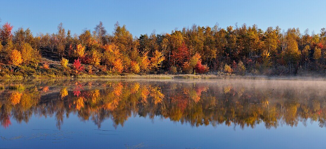 Colourful reflections in a beaver pond with morning mist Sudbury ONtario