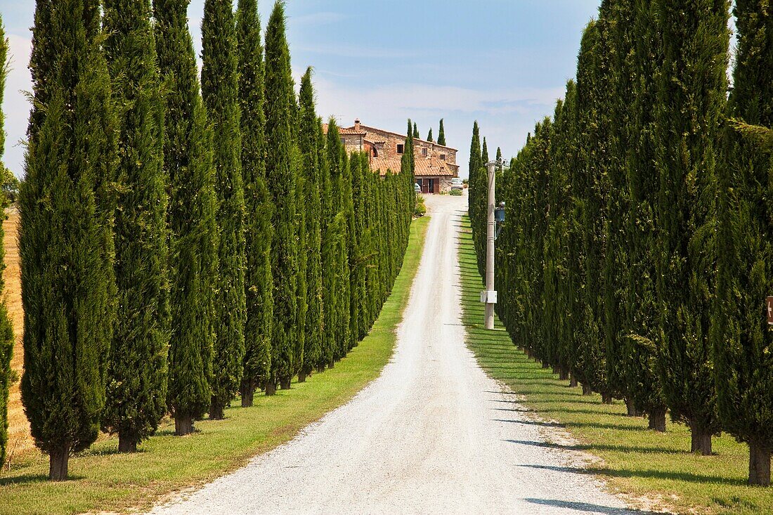 Val DOrcia, tuscany.