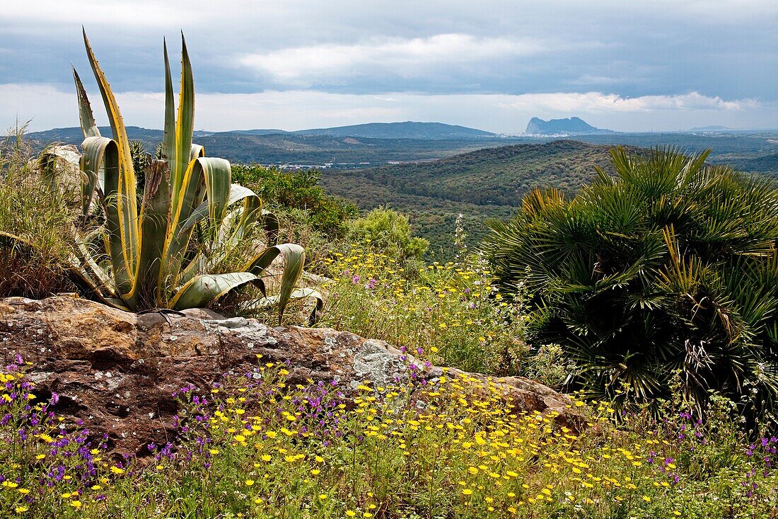 Landscape of Gibraltar Strait from Castellar de la Frontera, Cádiz province, Andalusia, Spain.