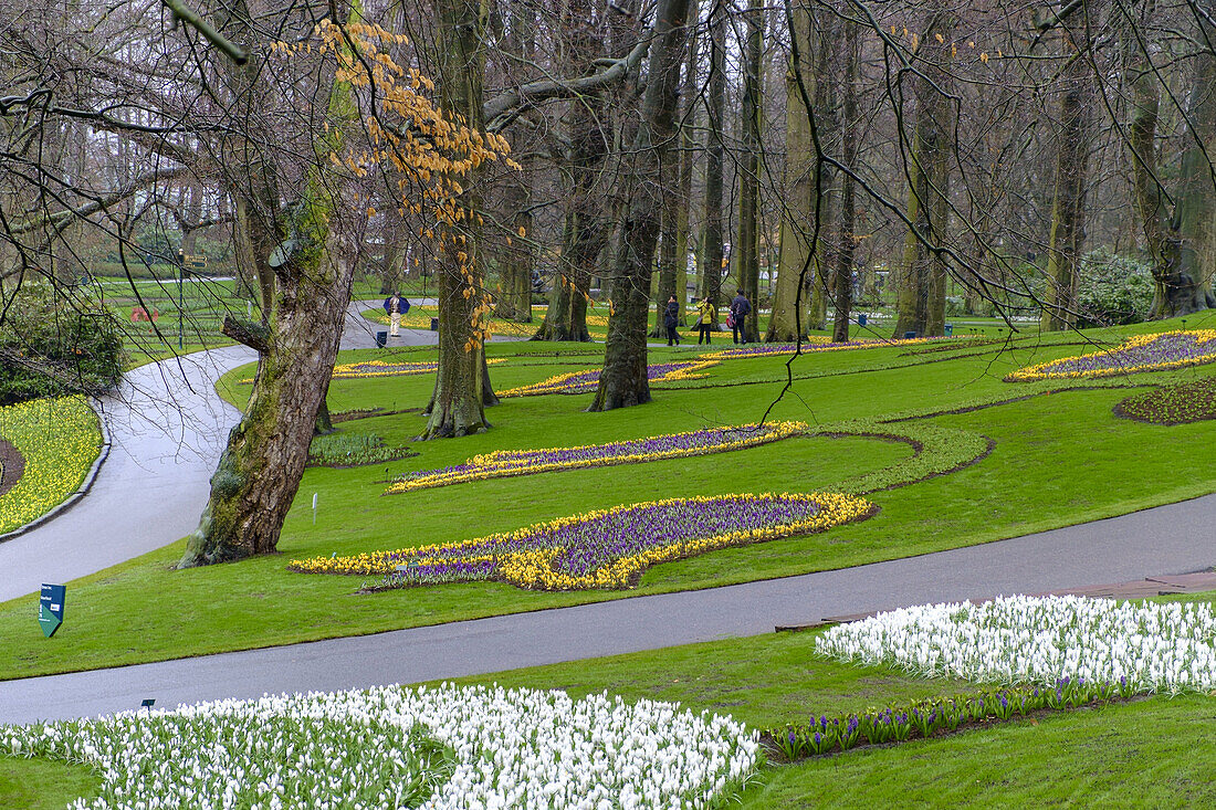 Keukenhof flower garden, Lisse, Netherlands, Europe.