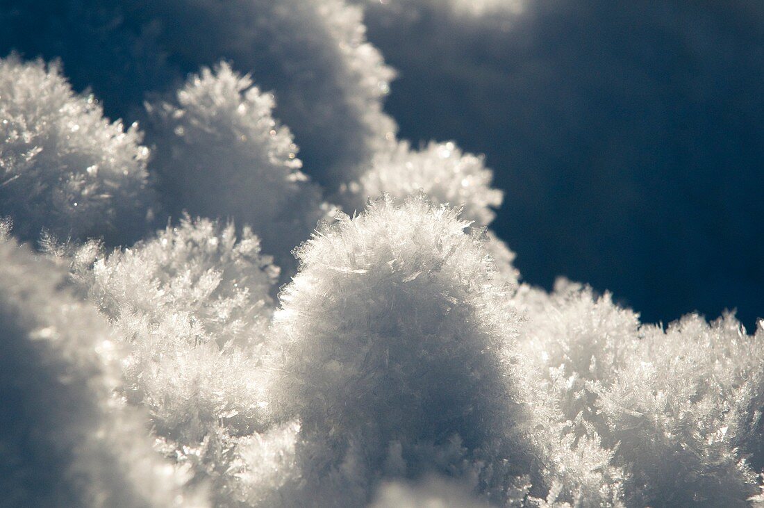 Snow crystals, Route des Crêtes, Vosges, Alsace, France