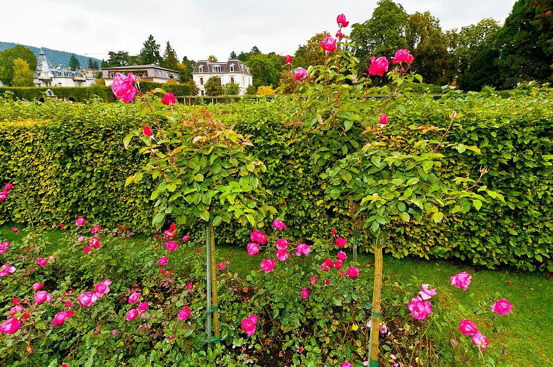 Gonneranlage Park and Gardens, Baden Baden, Baden-Württemberg, Germany