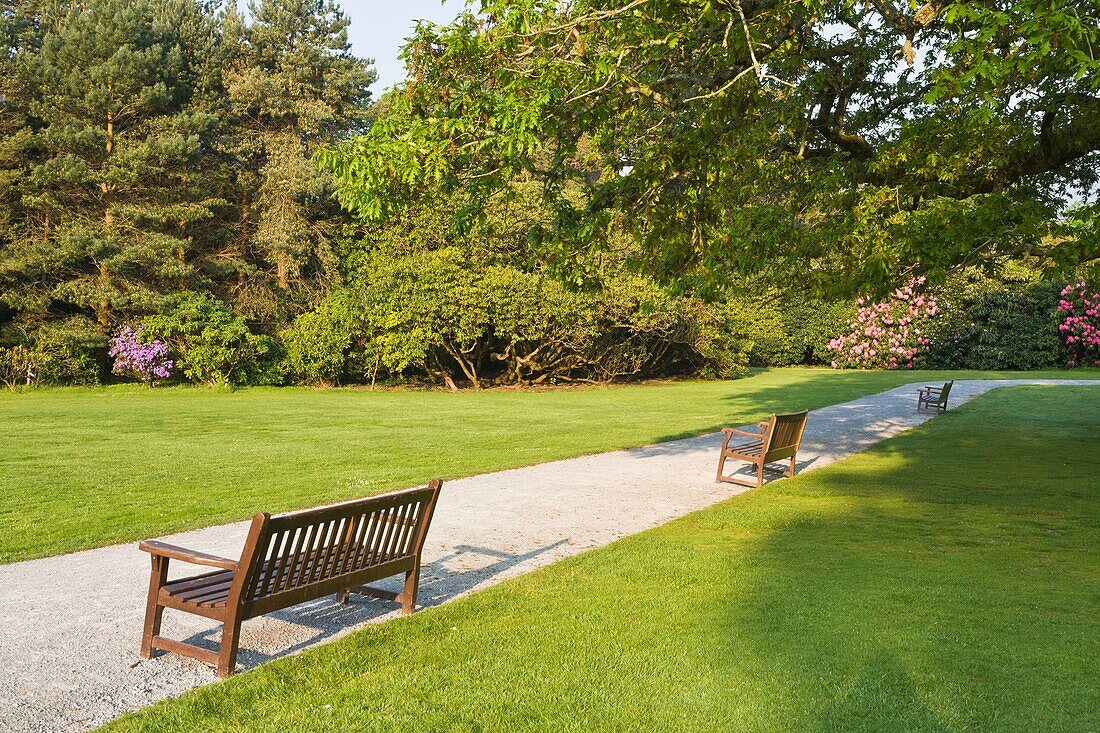 Park benches in the quiet surroundings of Muckross House and Gardens, County Kerry, Ireland, Europe