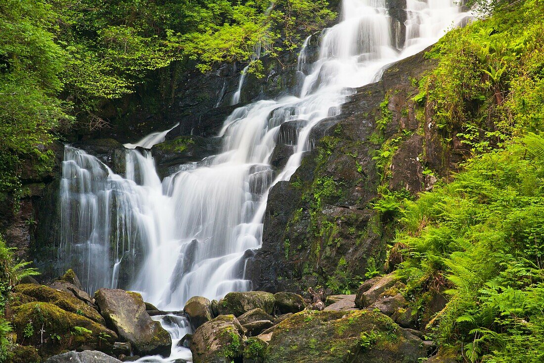 Torc waterfall in the Killarney National Park, County Kerry, Ireland, Europe