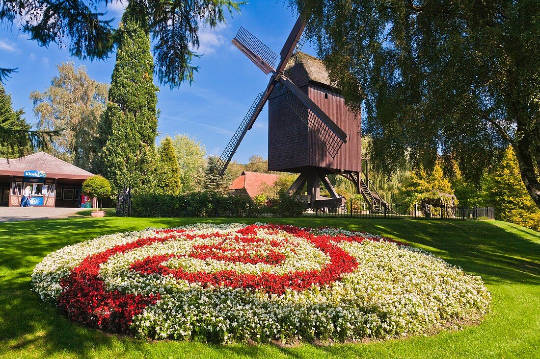 Old windmill and flowerbed in Walsrode, Lower Saxony, Germany, Europe
