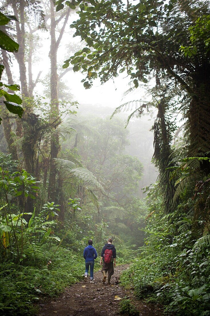 Young couple walking along a trail in the Monteverde Cloud Forest Reserve in Costa Rica