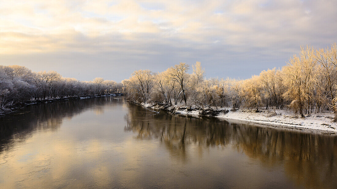 Spring snow covers trees along the Minnesota River in Bloomington.