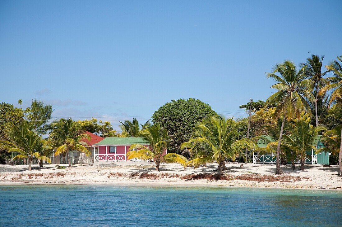 america, caribbean sea, hispaniola island, dominican republic, saona island, sea and beach with palms