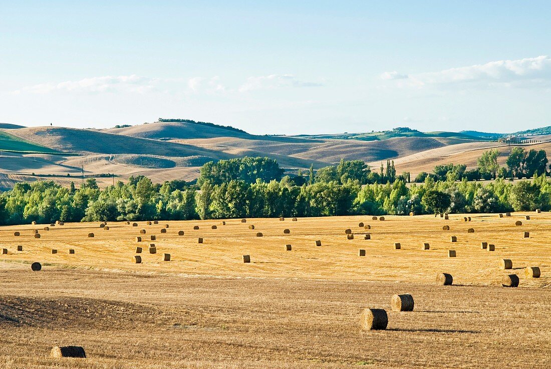Countryside near San Qurico dOrcia, Siena, Tuscany, Italy