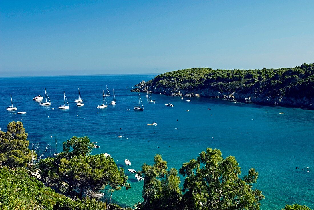 Fetovaia, Isola dElba, Elba, Tuscany, Italy