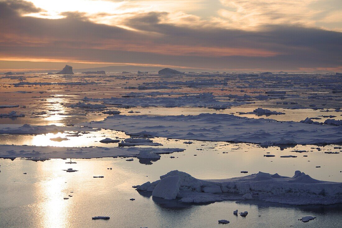 Sunset on fresh sea ice and tabular icebergs in the Weddell Sea, antarctica