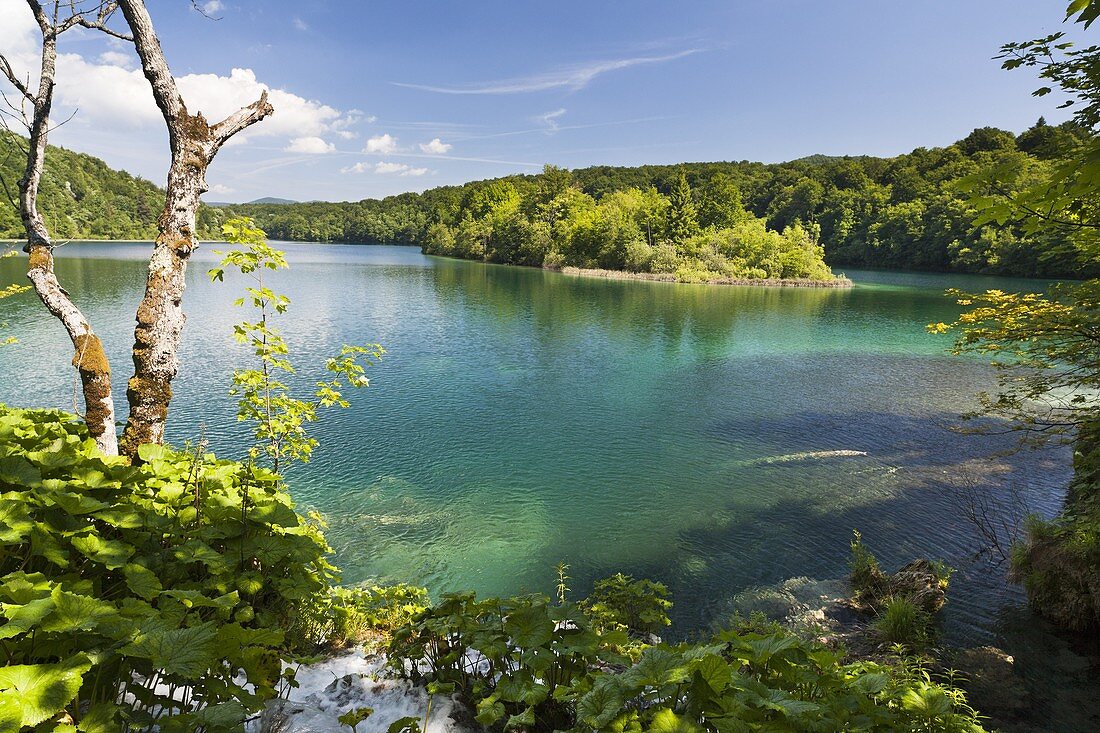 The Plitvice Lakes in the National Park Plitvicka Jezera in Croatia  The lake Kozjak  The Plitvice Lakes are a string of lakes connected by waterfalls  They are in a valley, which becomes a canyon in the lower parts of the National Park  The waterfalls ar