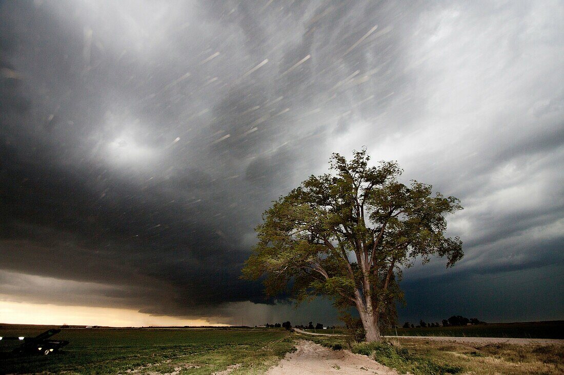 A lone tree stands against a thunderstorm on the rural Nebraska prairie near Scottsbluff, Nebraska, USA, June 7, 2010